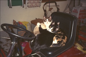 9400 1218 cew familyIMG0055.jpg